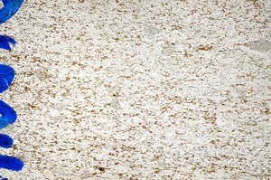 Plane Polarized, N10210