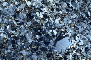 Cross Polarized, N10213