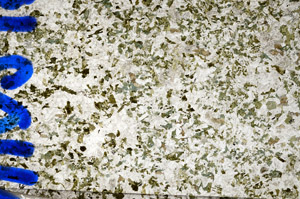 Plane Polarized, N10215