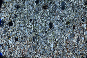 Cross Polarized, N10219