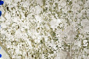 Plane Polarized, N10226