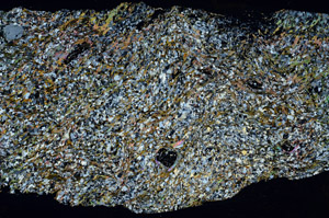 Cross Polarized, N10229