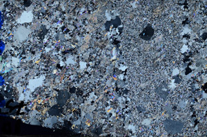 Cross Polarized, N10235