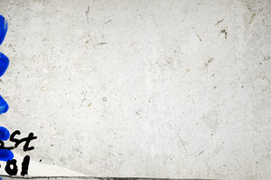 Plane Polarized, N10235