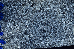 Cross Polarized, N10237