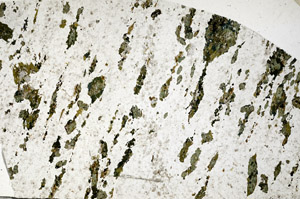Plane Polarized, N10239