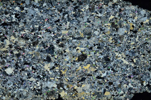 Cross Polarized, N10240