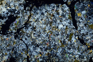 Cross Polarized, N10259