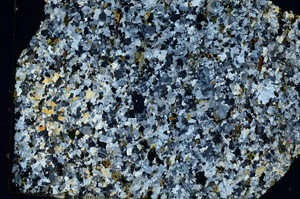 Cross Polarized, N10269