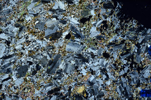 Cross Polarized, N10276