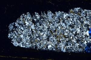 Cross Polarized, N10281