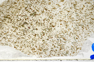 Plane Polarized, N10286