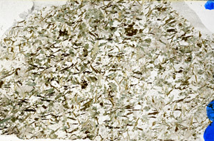 Plane Polarized, N10289