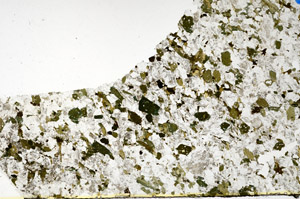 Plane Polarized, N10294