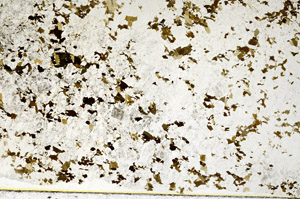 Plane Polarized, N10297