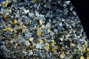 Cross Polarized, N10298