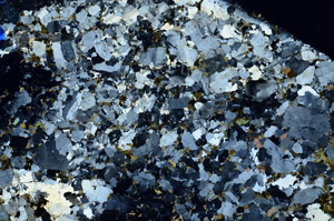 Cross Polarized, N10299