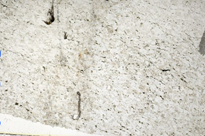 Plane Polarized, N10304