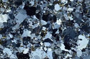 Cross Polarized, N10314