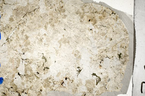 Plane Polarized, N10332