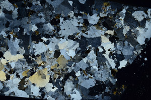 Cross Polarized, N10333