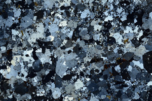 Cross Polarized, N10336