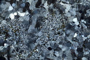 Cross Polarized, N10338