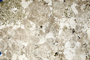 Plane Polarized, N10341