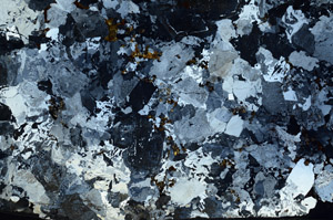 Cross Polarized, N10348