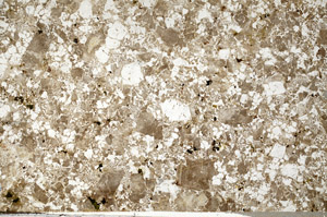 Plane Polarized, N10353