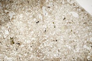 Plane Polarized, N10355