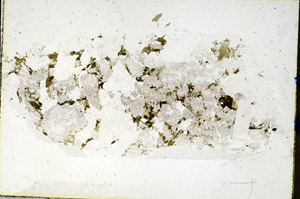 Plane Polarized, N10400