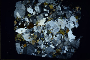 Cross Polarized, N10408