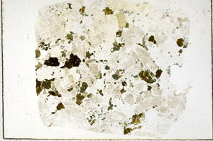 Plane Polarized, N10408