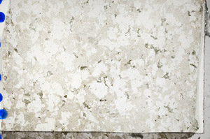 Plane Polarized, N10414