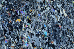 Cross Polarized, N10423