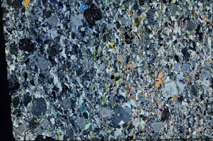 Cross Polarized, N10426