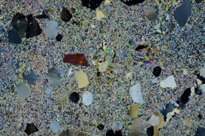 Cross Polarized, N10427