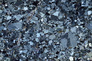 Cross Polarized, N10437