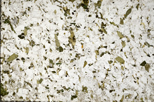 Plane Polarized, N10452