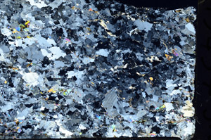 Cross Polarized, N10457