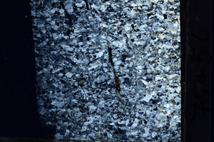 Cross Polarized, N10458
