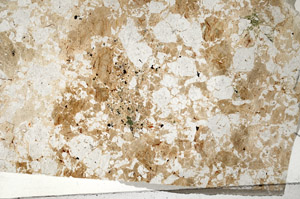 Plane Polarized, N10460