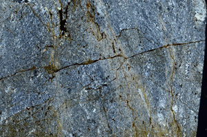 Cross Polarized, N10462