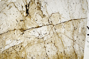 Plane Polarized, N10462