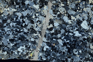 Cross Polarized, N10463