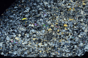 Cross Polarized, N10474