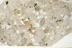 Plane Polarized, N10475