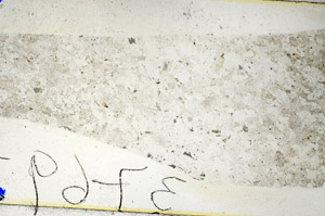 Plane Polarized, N10479