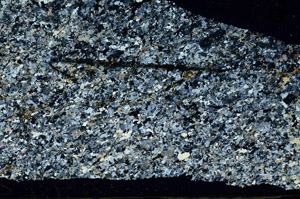 Cross Polarized, N10481